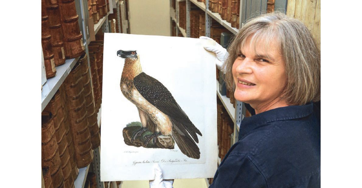 Dr. Christine Sauer und ein Bild aus der Ausstellung "Vogelmalerei"