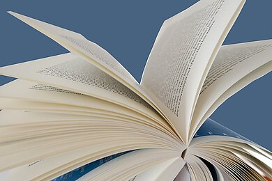 Speed-Reading Das Bild zeigt ein aufgeschlagenes Buch mit viel Text.