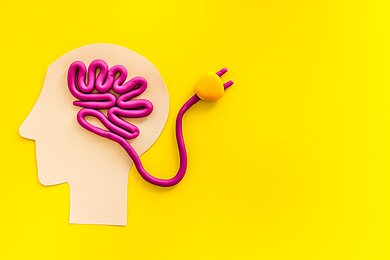 Gedächtnistraining für Beruf und Studium