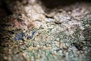 Abstraktes Bild von Gerhard Richter
