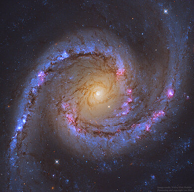 Aufnahme des Hubble-Weltraum-Teleskops der Spiralgalaxie NGC 1566.