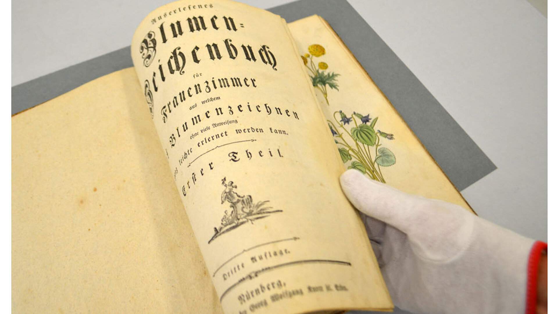 Buchpatenschaften in der Stadtbibliothek Nürnberg
