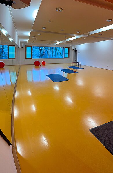 Wirbelsäulen-, Hüft- und Beckenstabilisationstraining Wirbelsäulen-, Hüft- und Beckenstabilisationstraining