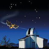 Die Fledermaus Flappi fliegt am Abendhimmel auf eine Sternwarte zu (animiert).