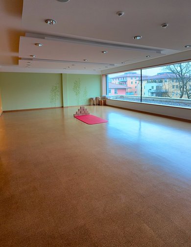 Sensomotorisches Stabilisationstraining für den ganzen Körper Sensomotorisches Stabilisationstraining für den ganzen Körper