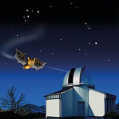 Die Fledermaus Flappi fliegt am Abendhimmel auf eine Sternwarte zu (animiert).