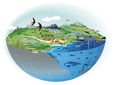 Zwischen Hitze und Hoffnung: Artenschutz im Zeitalter des Klimawandels