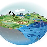 Zwischen Hitze und Hoffnung: Artenschutz im Zeitalter des Klimawandels