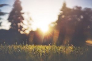 Ansicht sonniger Park Bewegungstreff