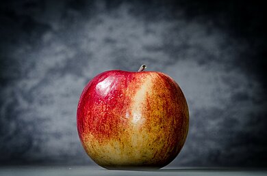 Faszination Lernen - Studium Generale 
