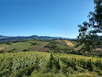 Italienisch A2