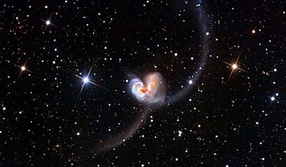 Valentinstagsspecial